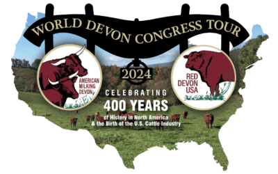 400 Year Anniversary Celebration